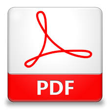 PDF - Skills und Projekte